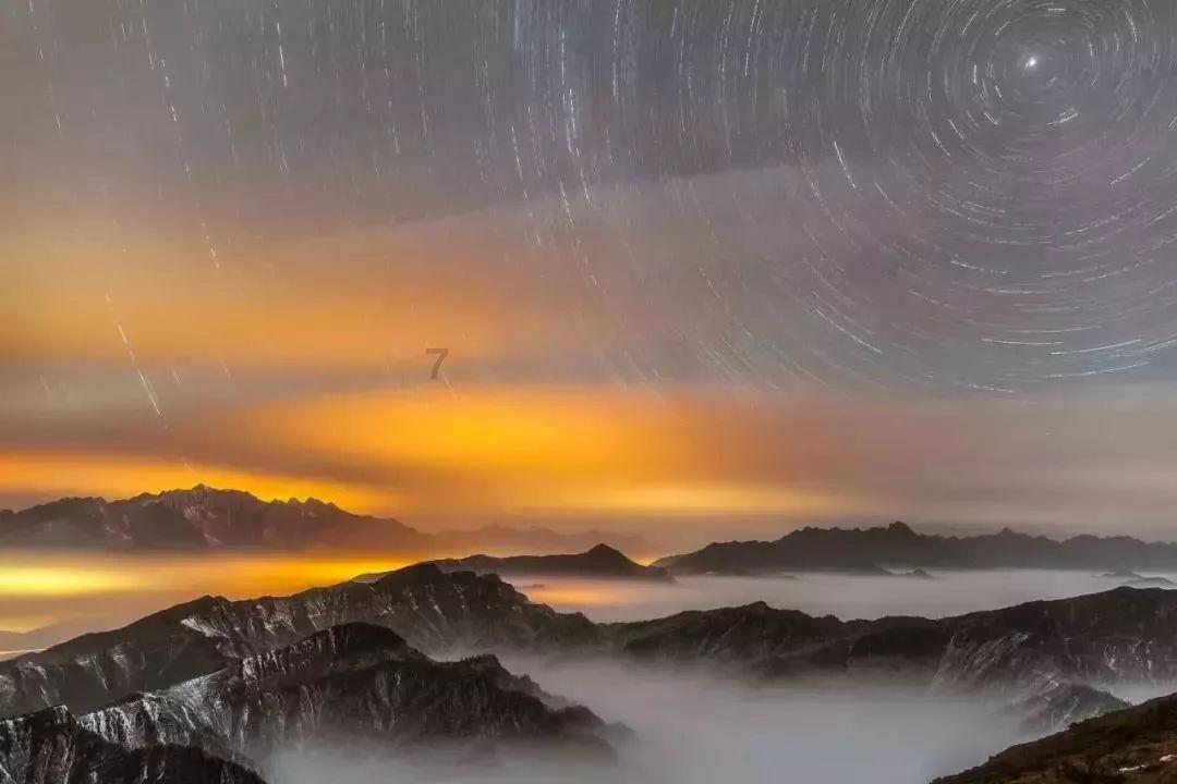 蝎子逃生之地