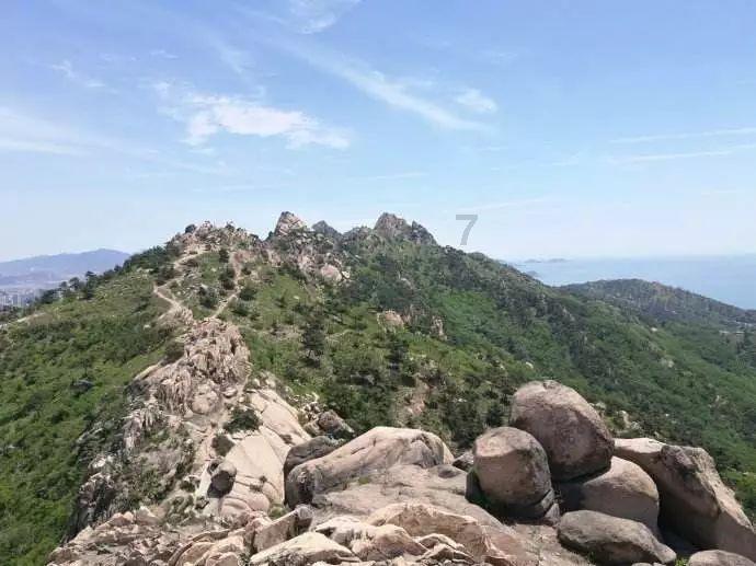 你能逃离此地吗